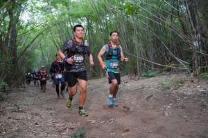 BIB: 3721, 3682
                            <button type="button" onclick="openModal(4356092)" class="btn btn-primary btn-sm float-right btn-popup" data-toggle="modal" data-target=".modal-high-quality">
                        <i class="fas fa-shopping-cart"></i> Add to Cart
                    </button>
                                            <button type="button" onclick="isThisMe(4356092, true)" class="btn btn-success btn-sm float-right btn-popup btn-isme hidden" data-toggle="tooltip" data-placement="bottom" title="นี่คือรูปของคุณใช่ไหม คลิกที่นี่เพื่อเอาเข้าอัลบั้ม">
                        <i class="fas fa-plus"></i> Add to album
                    </button>
                    <button type="button" onclick="isThisMe(4356092, false)" class="btn btn-warning btn-sm float-right btn-popup btn-isnotme hidden">
                        <i class="fas fa-ban"></i> Remove from album
                    </button>